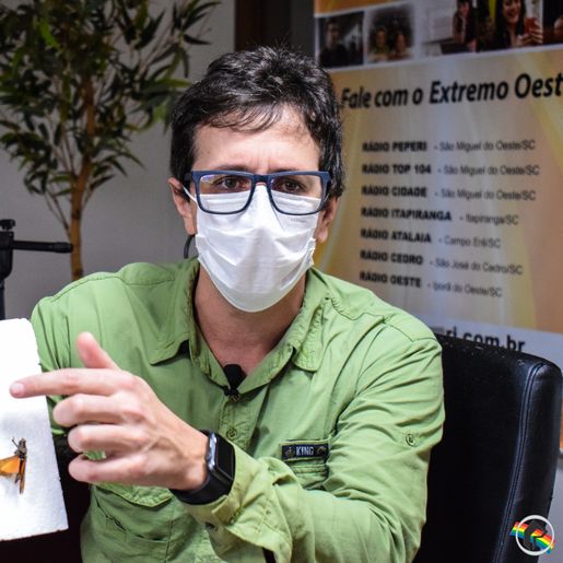 VÍDEO: Biólogo da UNOESC fala sobre a nuvem de gafanhotos