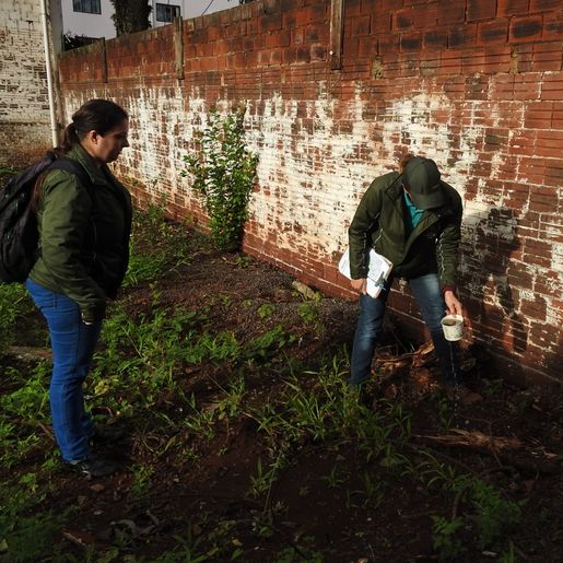 Saúde e Exército vistoriam mais de 700 imóveis em dia de mutirão contra a dengue