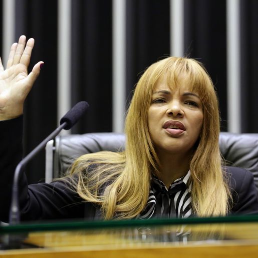 Maia diz que reunirá líderes na Câmara para decidir sobre caso Flordelis