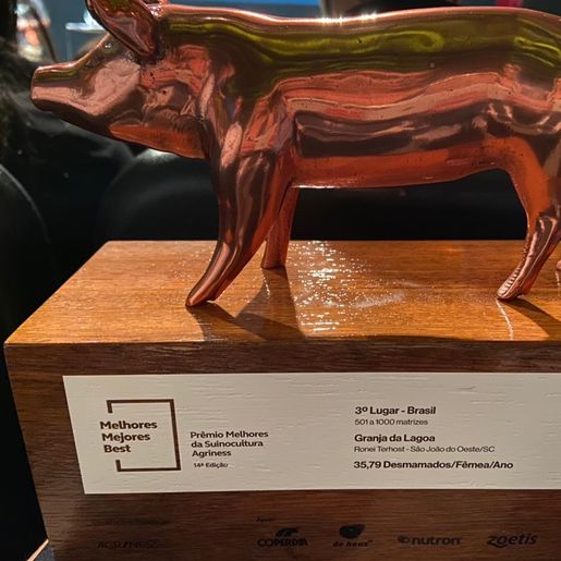 Granja de São João do Oeste é destaque nacional em suinocultura