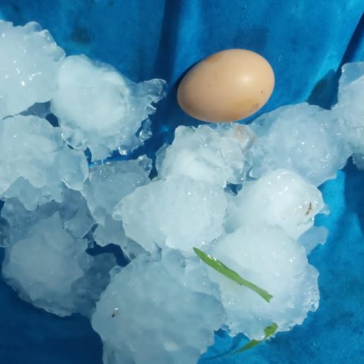 Temporal com chuva de granizo causa estragos no interior de Mondaí