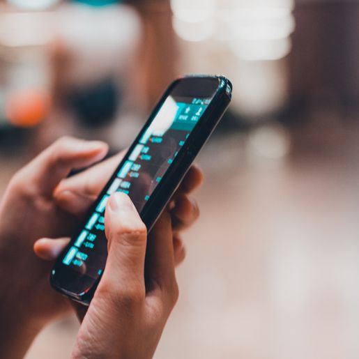 Santa Catarina lidera número de golpes pela internet, mostra Anuário de Segurança