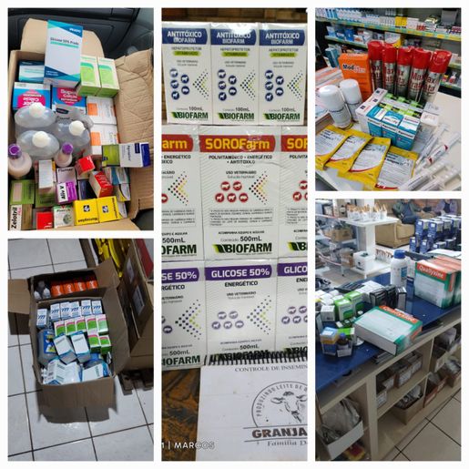 Produtores se unem para destinar alimentação e medicação para o rebanho bovino do RS