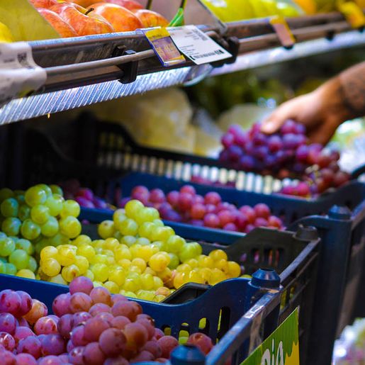 Governo prorroga prazo para cadastro na Agricultura Familiar