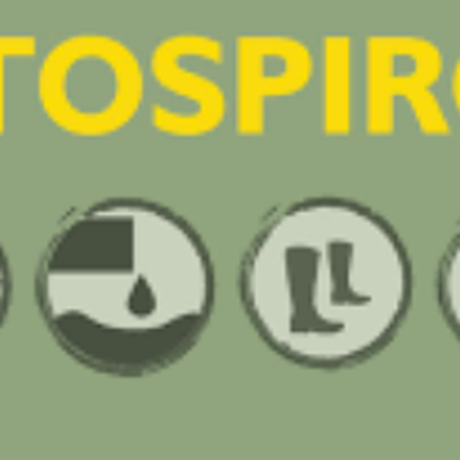 São João do Oeste registra óbito por Leptospirose