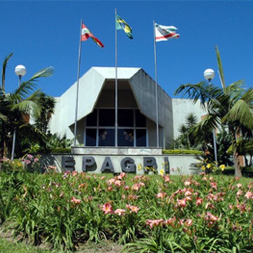 Com 12 novas contratações, Epagri amplia equipe técnica no Extremo Oeste