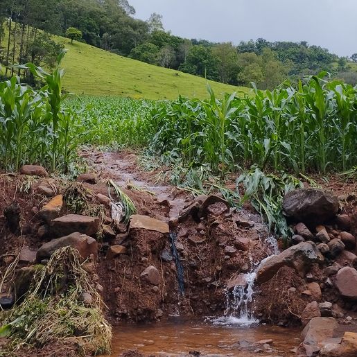 Em Santa Helena, enxurrada causa estragos nas lavouras, estradas e pontes