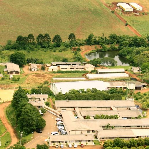 Cedup Getúlio Vargas segue com atividades durante a pandemia
