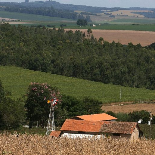 Três pessoas da mesma família são encontradas mortas em chácara