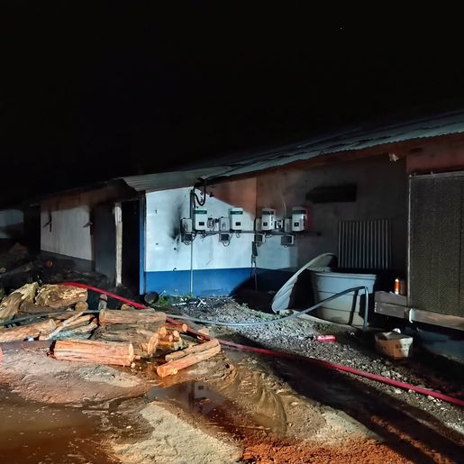 Aviário com 25 mil aves é atingido por incêndio em Mondaí