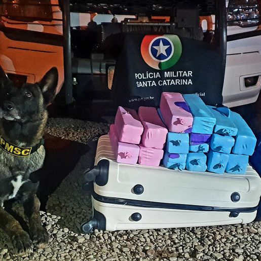 PM apreende cerca de 25 quilos de maconha e 537 garrafas de vinho em duas ocorrências