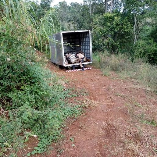 Polícia encontra 21 motores escondidos em baú de caminhão em Descanso