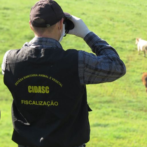 Cidasc intensifica atividades em maio e celebra avanços na sanidade agropecuária em SC