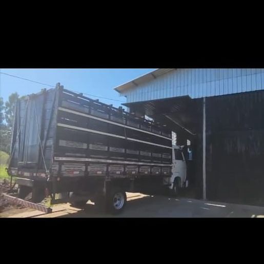 PF realiza Operação Ápis na fronteira do Brasil e a Argentina