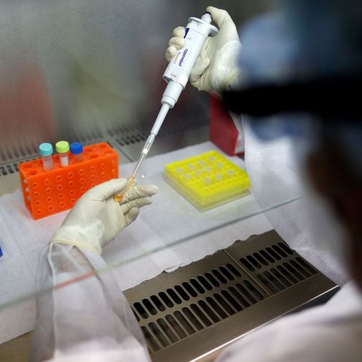 Equipe da Fiocruz MG trabalha em vacina brasileira para COVID-19