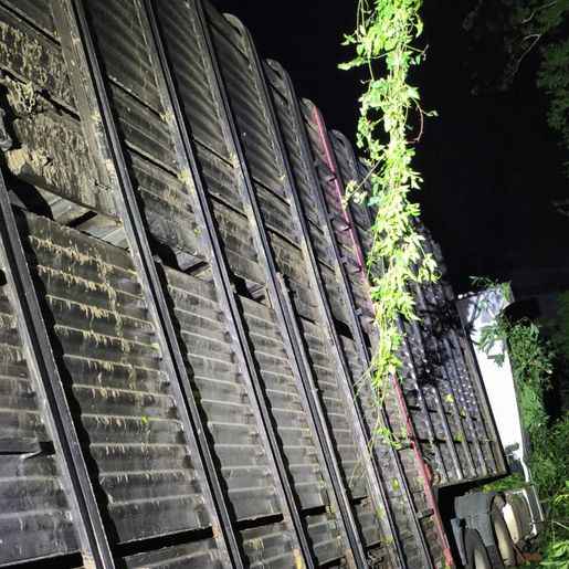 Caminhoneiro sai da pista e desce ribanceira de 30 metros na BR-158 em Palmitos