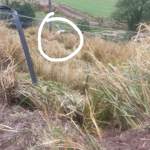 Carro capota na SC-157 em Quilombo e deixa quatro pessoas feridas