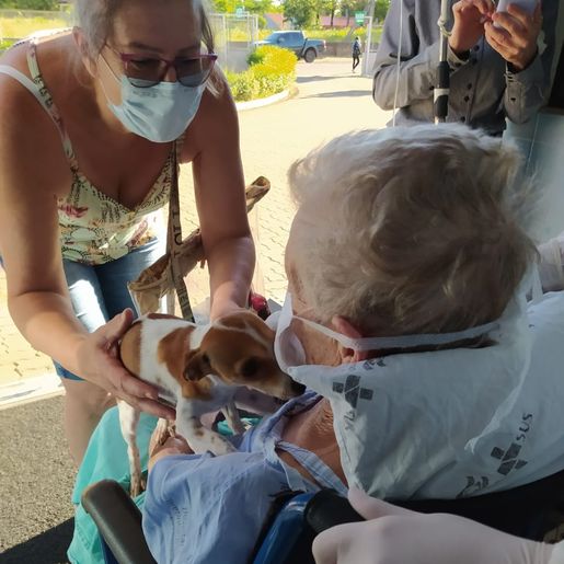 PEDIDO ATENDIDO: paciente em cuidados paliativos revê cachorrinhos de estimação