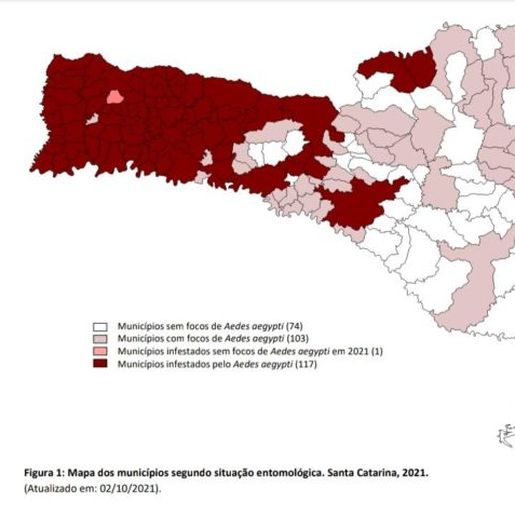 Descuido da população eleva número de focos da dengue em São José do Cedro