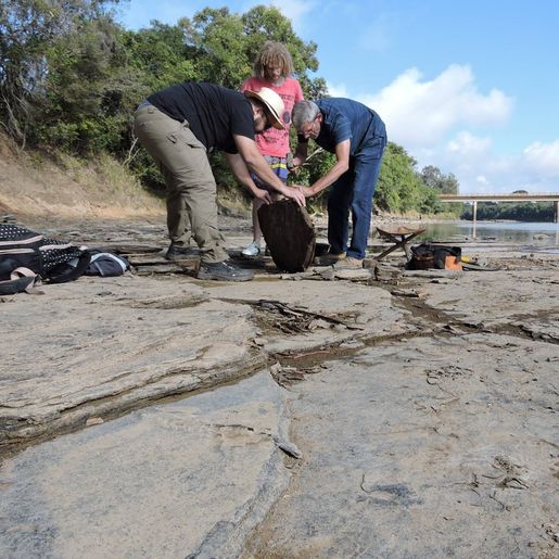 Fósseis de répteis que viveram antes dos dinossauros são descobertos em SC