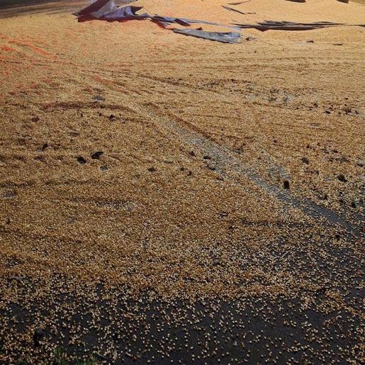 Caminhão carregado de milho tomba próximo à entrada de Itapiranga