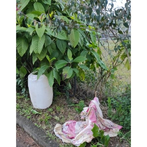 Criminosos furtam 150 litros de diesel de caminhão na região Oeste de SC