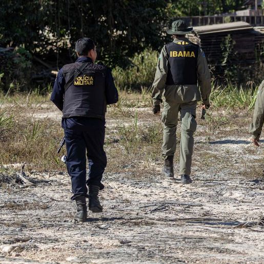 Ibama já aplicou quase quatro mil autos de infração contra desmatamento neste ano