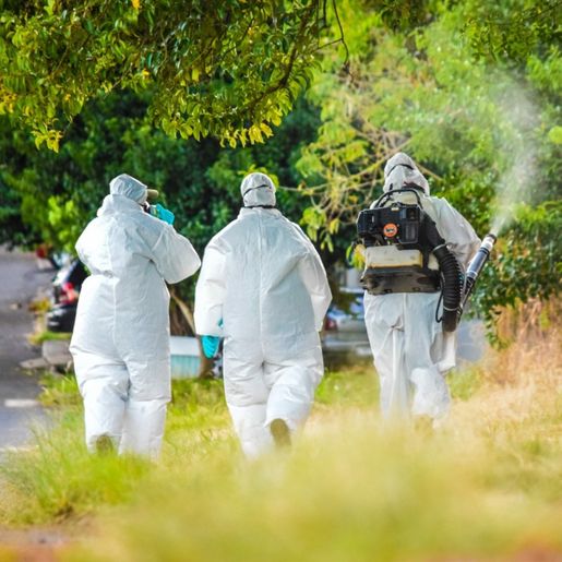 Inseticida contra o mosquito Aedes Aegypti é aplicado em Iporã do Oeste