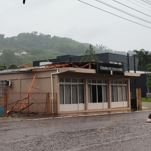 Temporal causa quedas de árvores e vários destelhamentos na região