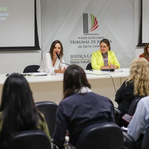 Violência doméstica leva 600 mulheres por semana a buscarem Justiça de SC