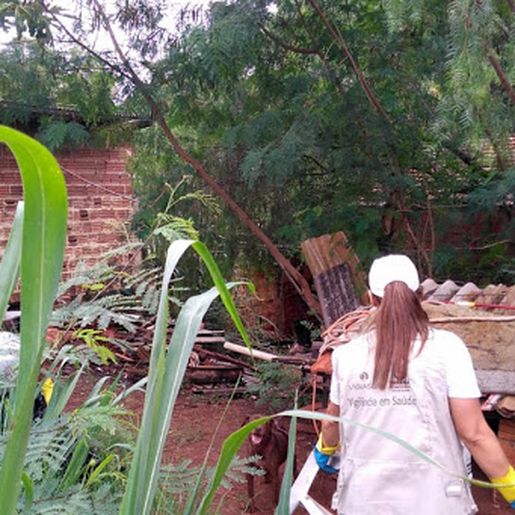 Paraná registra 57 óbitos e mais de 76 mil casos por dengue