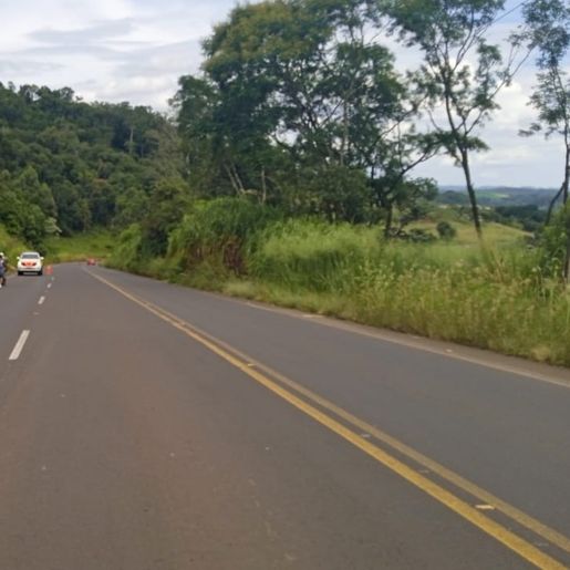 Veículo pega fogo depois de bater em barranco