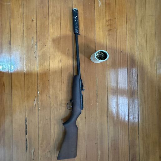 Polícia apreende arma e munições em caso de violência doméstica em Itapiranga