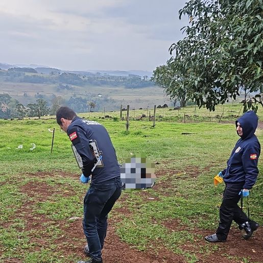 Homem é morto ao agredir ex e causar tumulto em boate em Palmitos