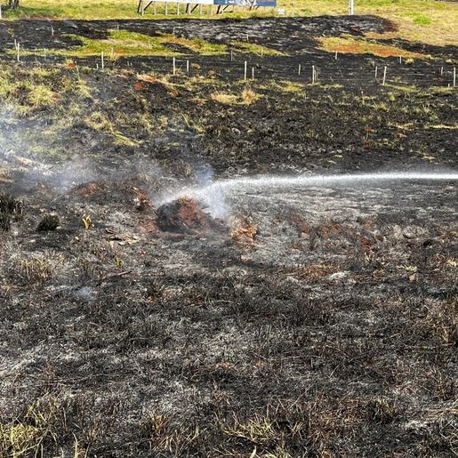 Apenas dez países entregaram metas climáticas; prazo termina segunda
