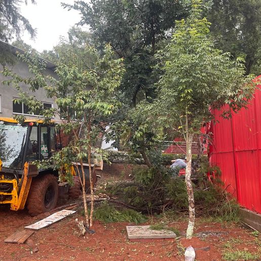 Temporal provoca destelhamentos em cerca de 100 casas em São Miguel do Oeste, diz Defesa Civil