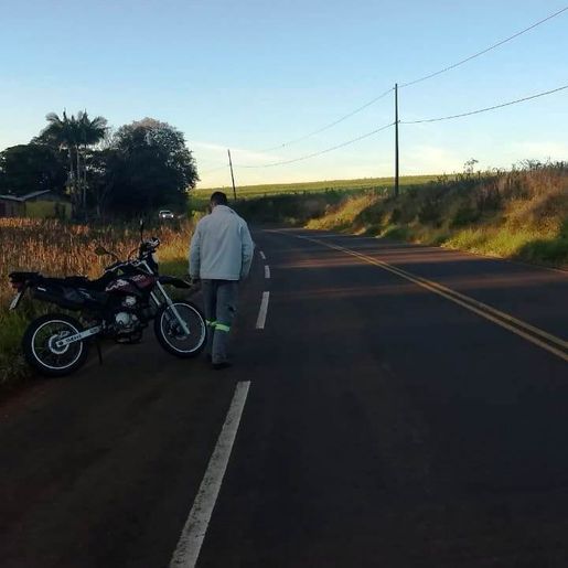 Cachorro atravessa pista e causa queda de motociclista na SC 496