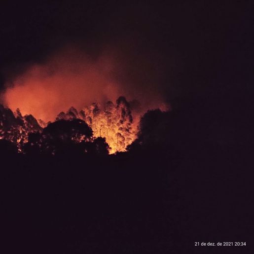 Área de mata atingida por incêndio volta a pegar fogo