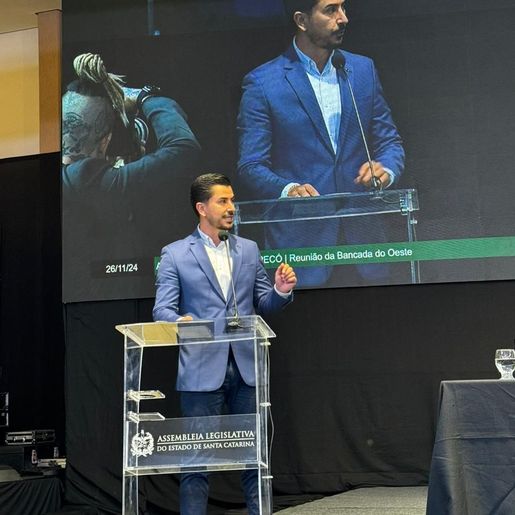 Conselho Empresarial apresenta demandas estratégicas na ALESC em Chapecó