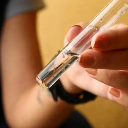 SC é o terceiro Estado com maior número de mortes por dengue no país