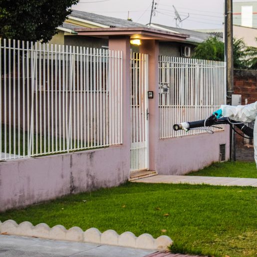 São Miguel do Oeste tem 124 casos de dengue