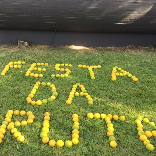 18ª Festa da Fruta terá aumento de 15% no espaço para exposição