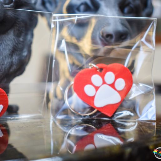 OUÇA: Campanha Ajuda Bicho auxilia ONGs em São Miguel do Oeste