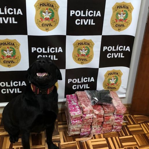 Polícia Civil prende homem e apreende droga e arma em Guaraciaba