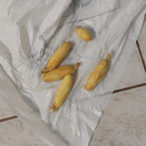 Homem é preso transportando droga em seu estômago