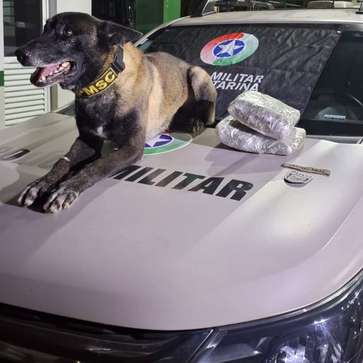 Operação conjunta resulta na apreensão de drogas em rodoviária da região