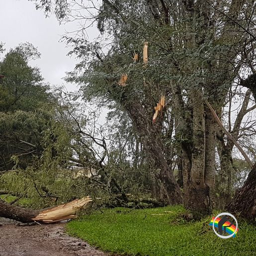 Temporais causam estragos em Itapiranga