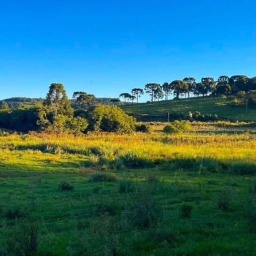 Homem atira contra helicóptero da PM e acaba morto após confronto em SC