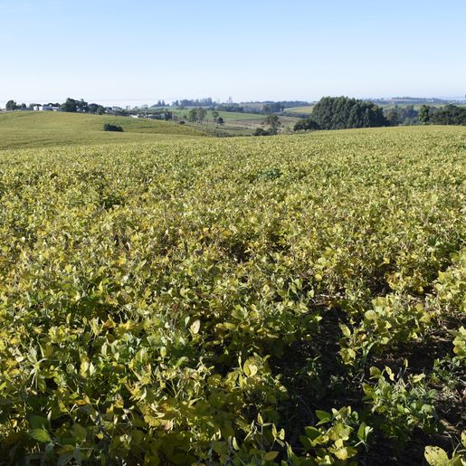 Entidades apontam sugestões para o Plano Safra 2023-2024