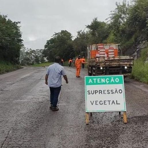 DNIT promove retirada e limpeza de vegetação às margens da BR-163